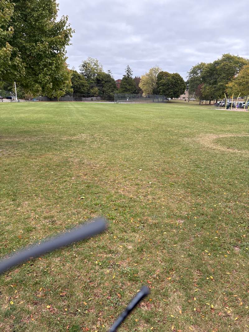walking near me in Valley Court Park in autumn
