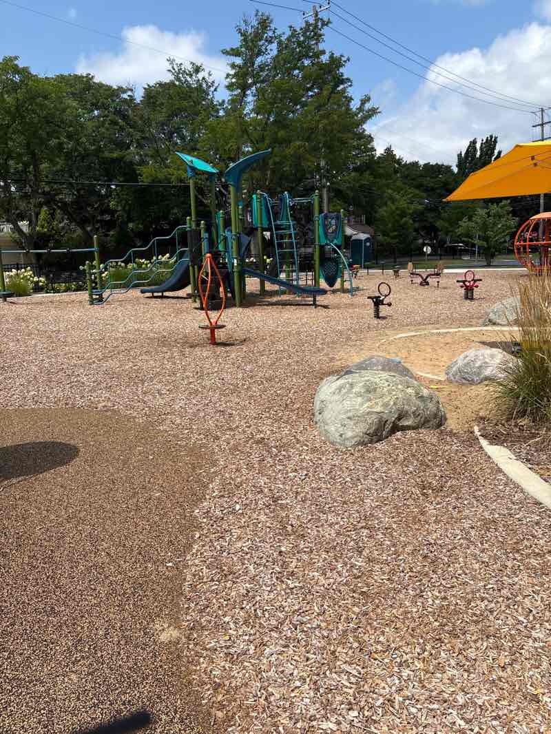 walking near me in Adams Park in autumn