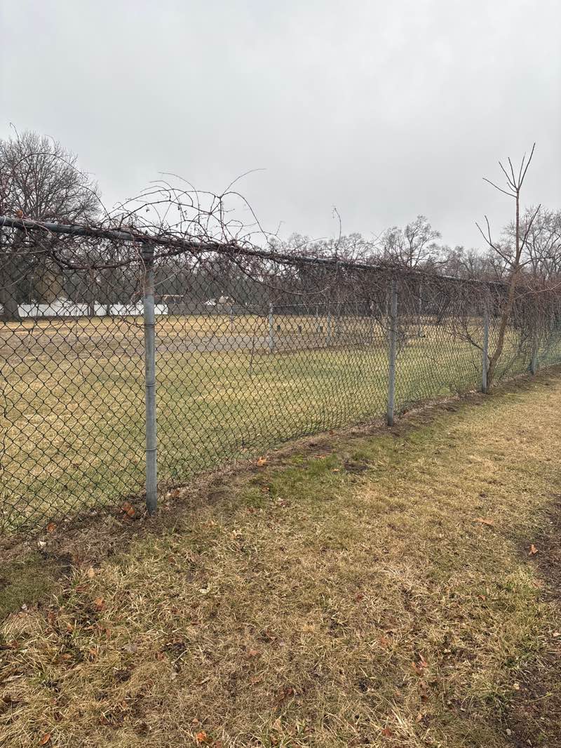 walking near me in Brace Park in spring