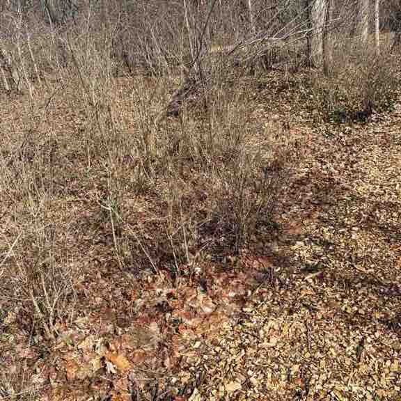 WalkWithChrist post 1