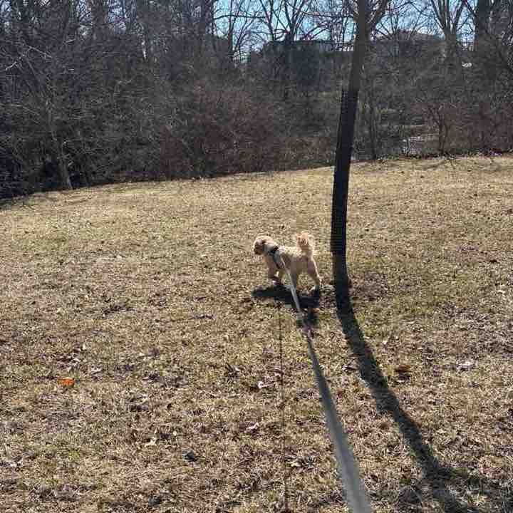 WalkWithChrist post 1