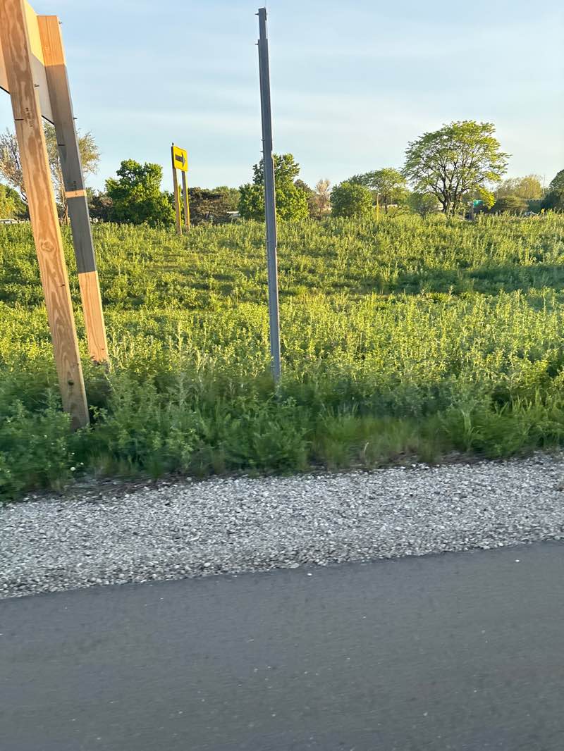 walking near me in CTC Park in summer