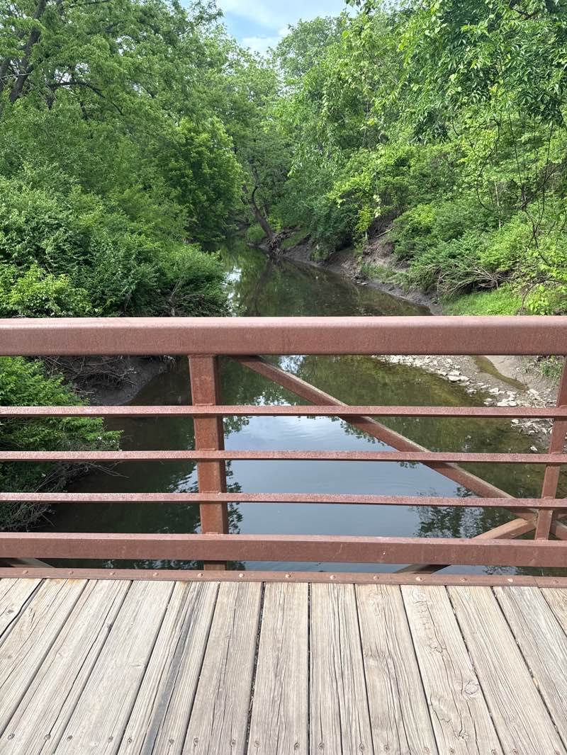 walking near me in Forest Creek Park in spring