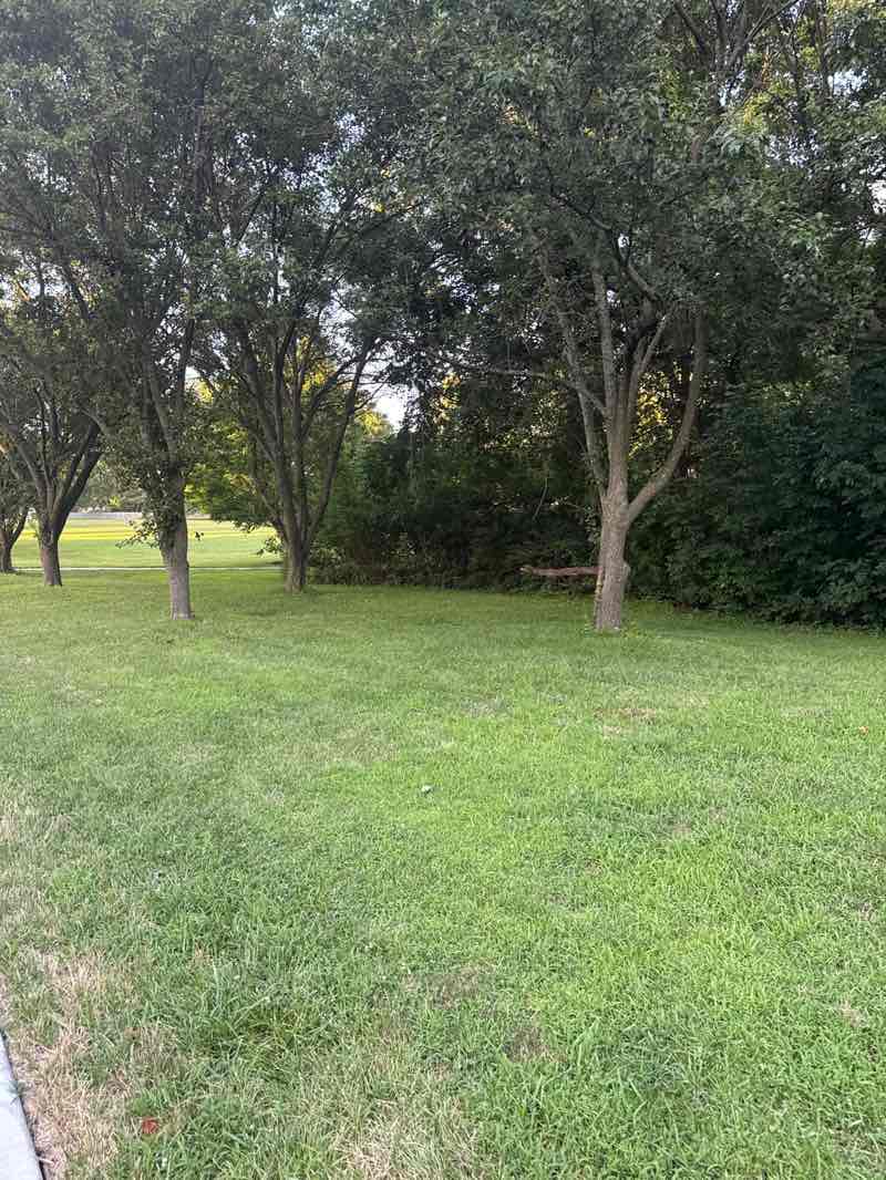 walking near me in Windham Hill Park in summer