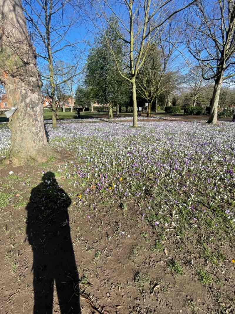 walking near me in Bridgford Park in winter