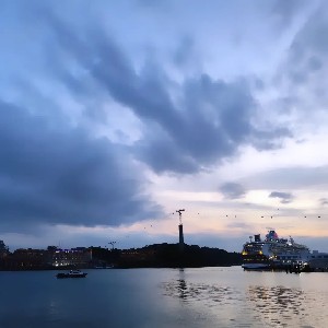 2IN_Clarabelle profile