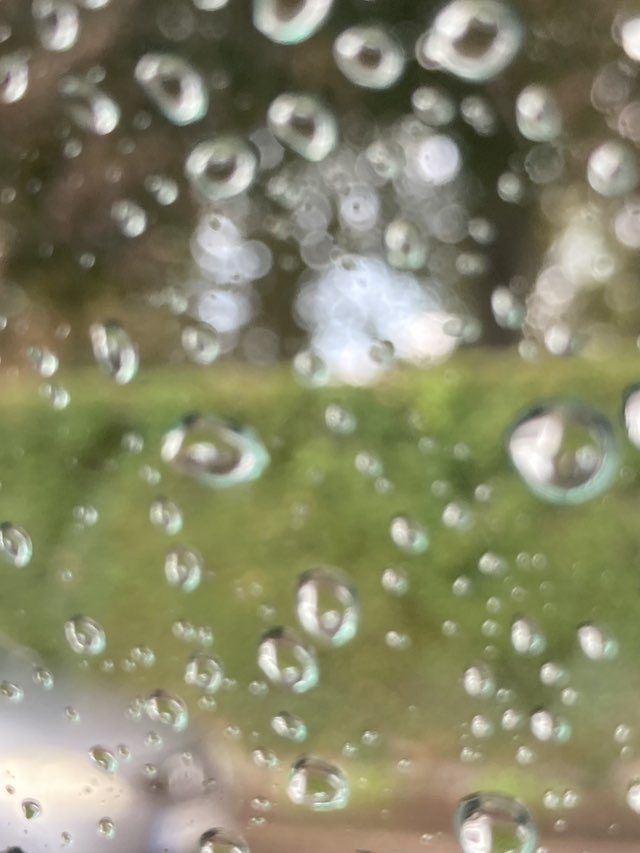 walking near me in Merriman Park in autumn