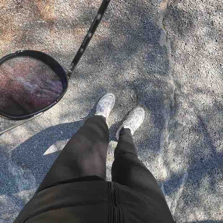 Daily Steps Challenge Nina post image