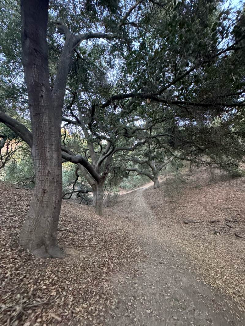 walking near me in Grand Avenue Park in winter