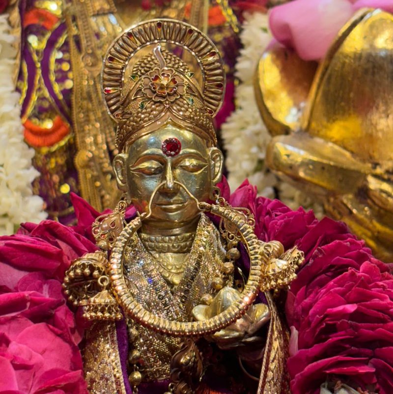 My health my life profile