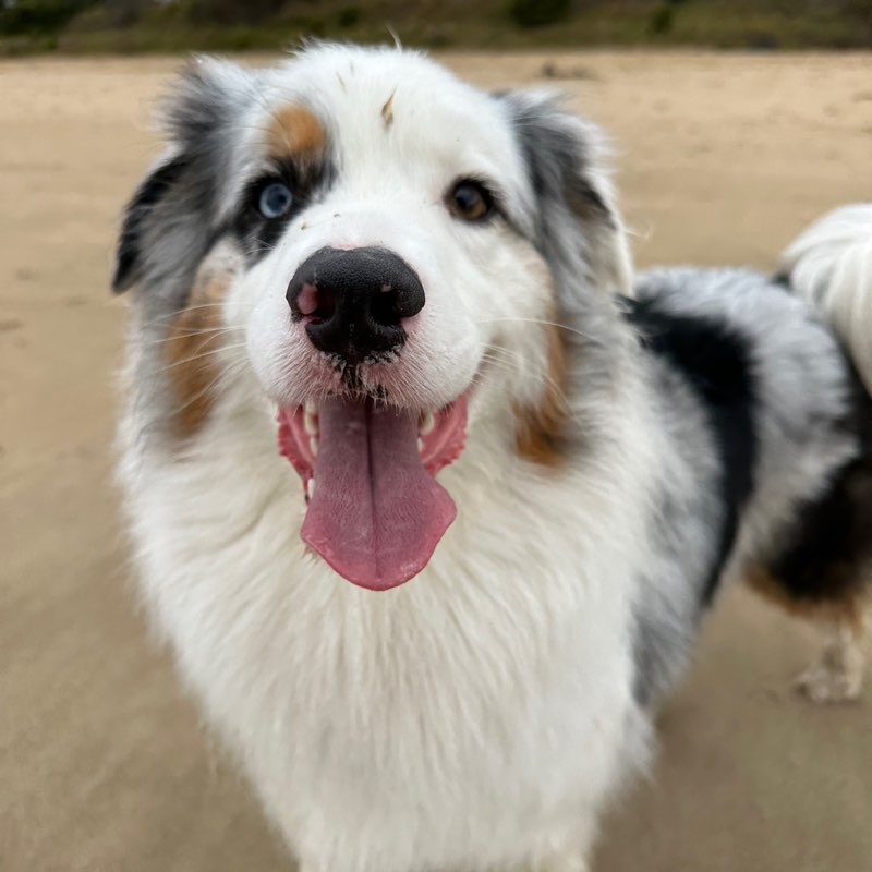 millie.perkins profile