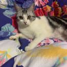 华燕萍໑ᮨ້༊꧂ icon