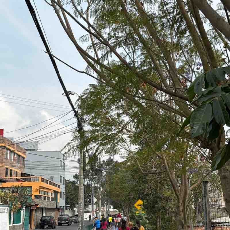 Jorge Andres Palacios Colem post 2