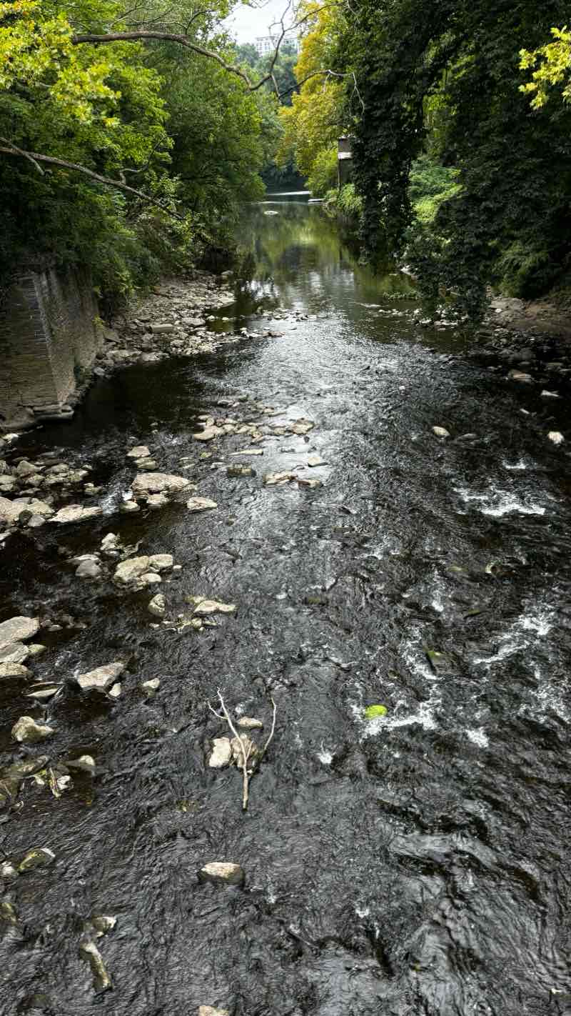 walking near me in South Garden, Fairmount Water Works in winter