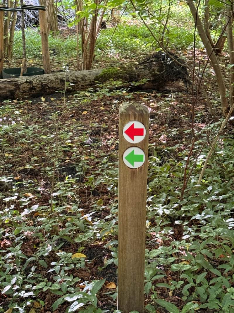 walking near me in Amstelpark in autumn