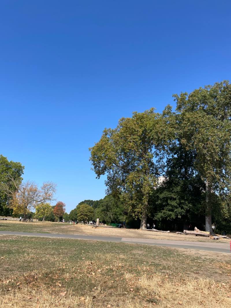walking near me in Brockwell Park in summer