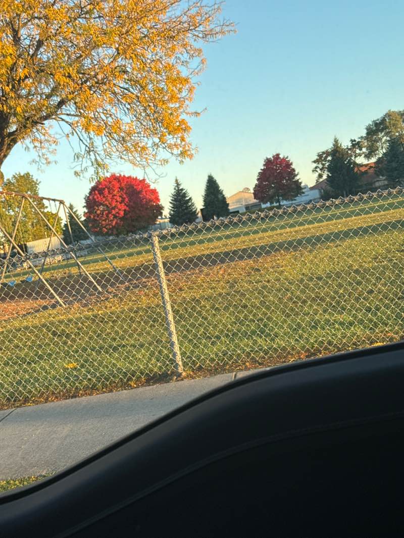 walking near me in Anthony Park in autumn