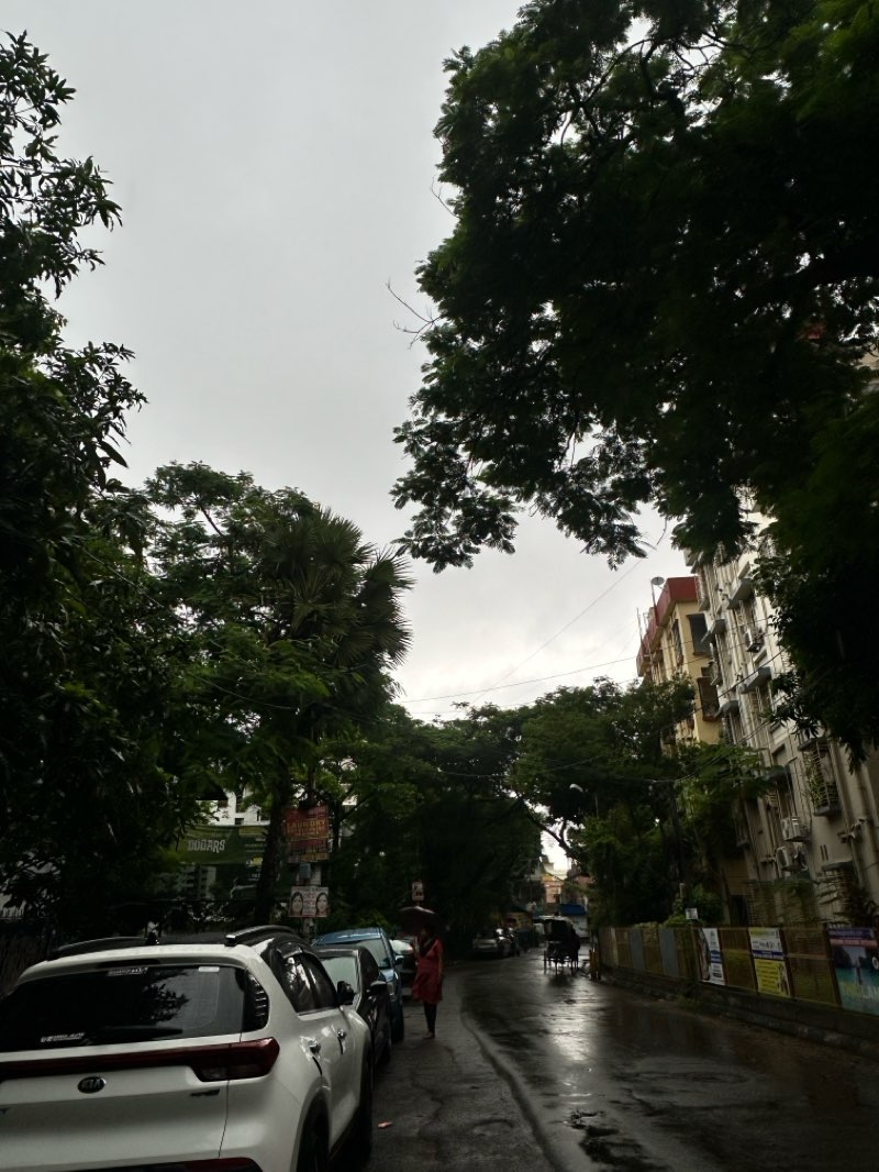 walking near me in Central Park in winter