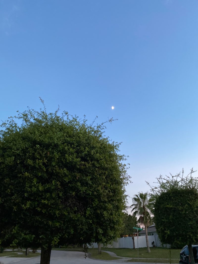 walking near me in Apopka Athletic Complex in winter