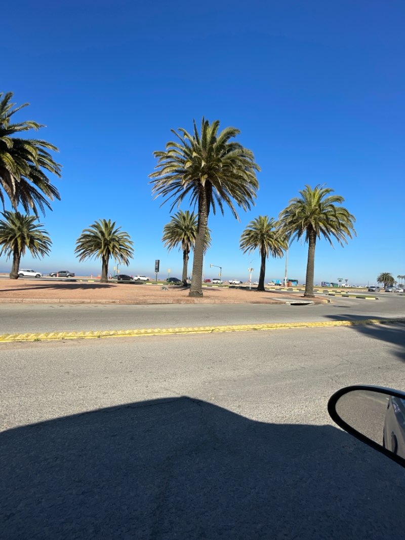 walking near me in Plaza Ituzaingó in summer