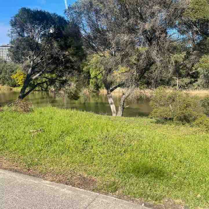 JB Steps 2024 post 1