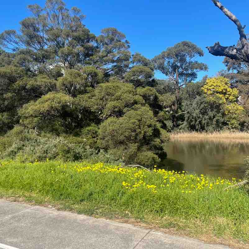 JB Steps 2024 post 2