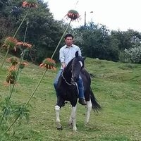 Roni Javier  Velez Rocano