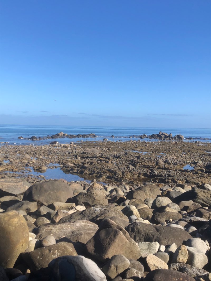 walking near me in Kawaroa Park in summer