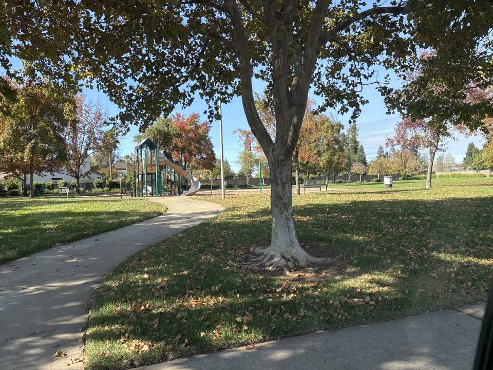 walking near me in Lombardi Park in autumn