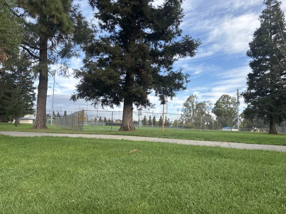 walking near me in Laurel Creek Park in autumn