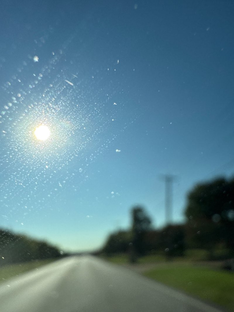 walking near me in Samuell Farm North Park in autumn