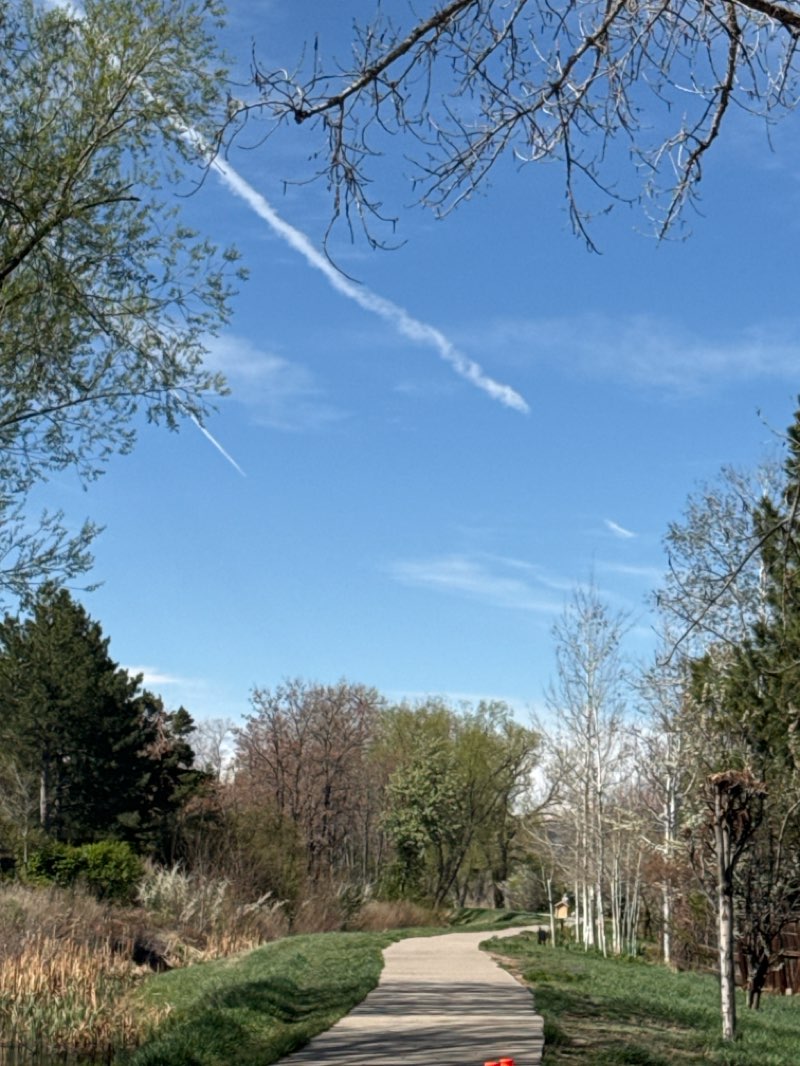 walking near me in Mushroom Pond Open Space in spring