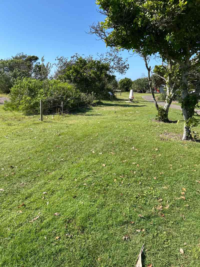 walking near me in Jack Bayliss Park in autumn