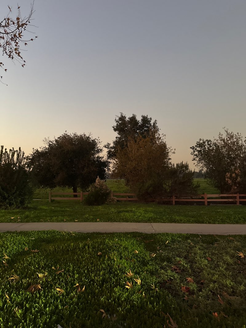 walking near me in Sepulveda Wildlife Reserve in winter