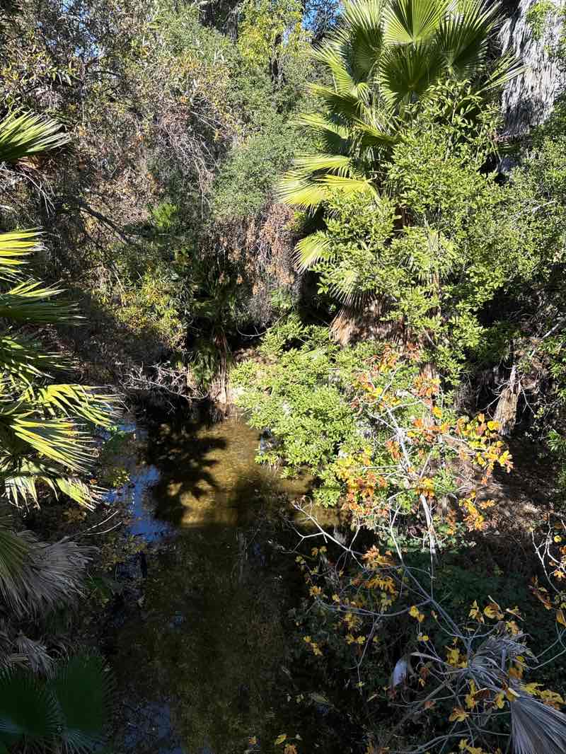 walking near me in Wilderness Park in winter