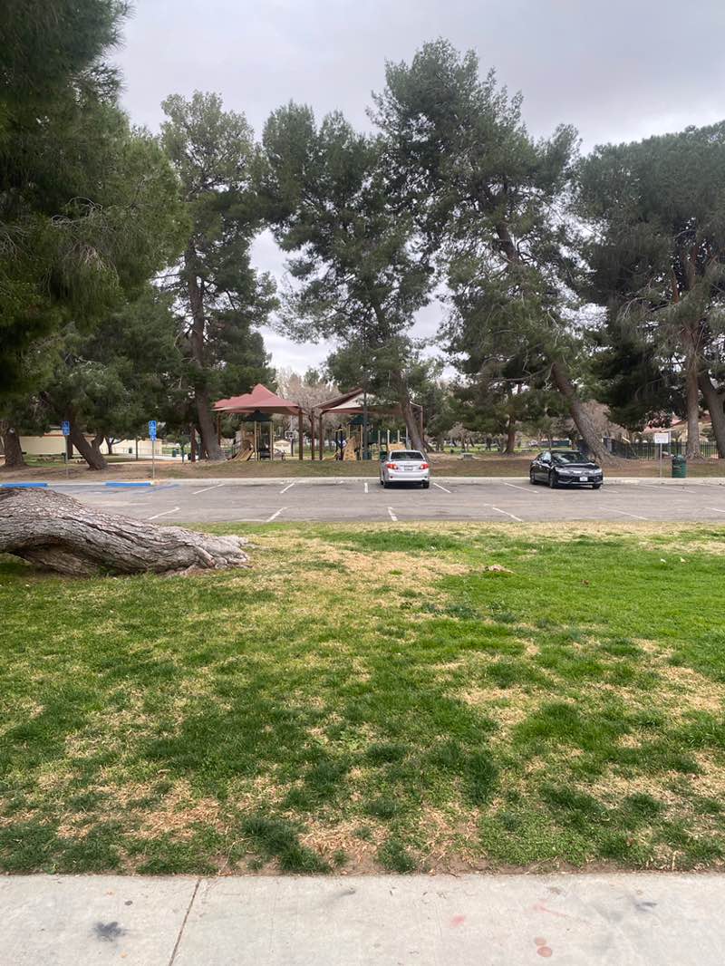 walking near me in George Lane Park in spring