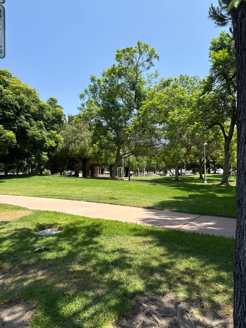 walking near me in Abraham Lincoln Park in summer