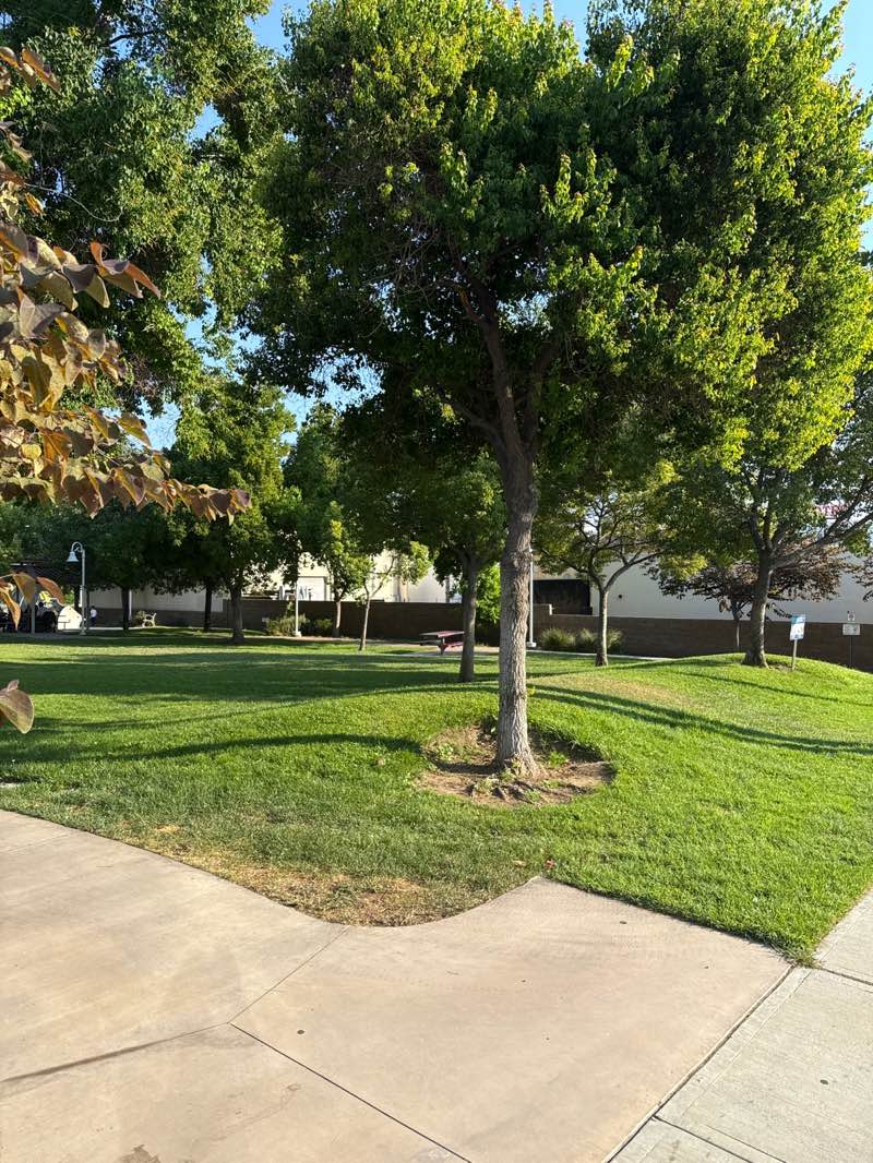 walking near me in Robert R. Ovrom Park in autumn