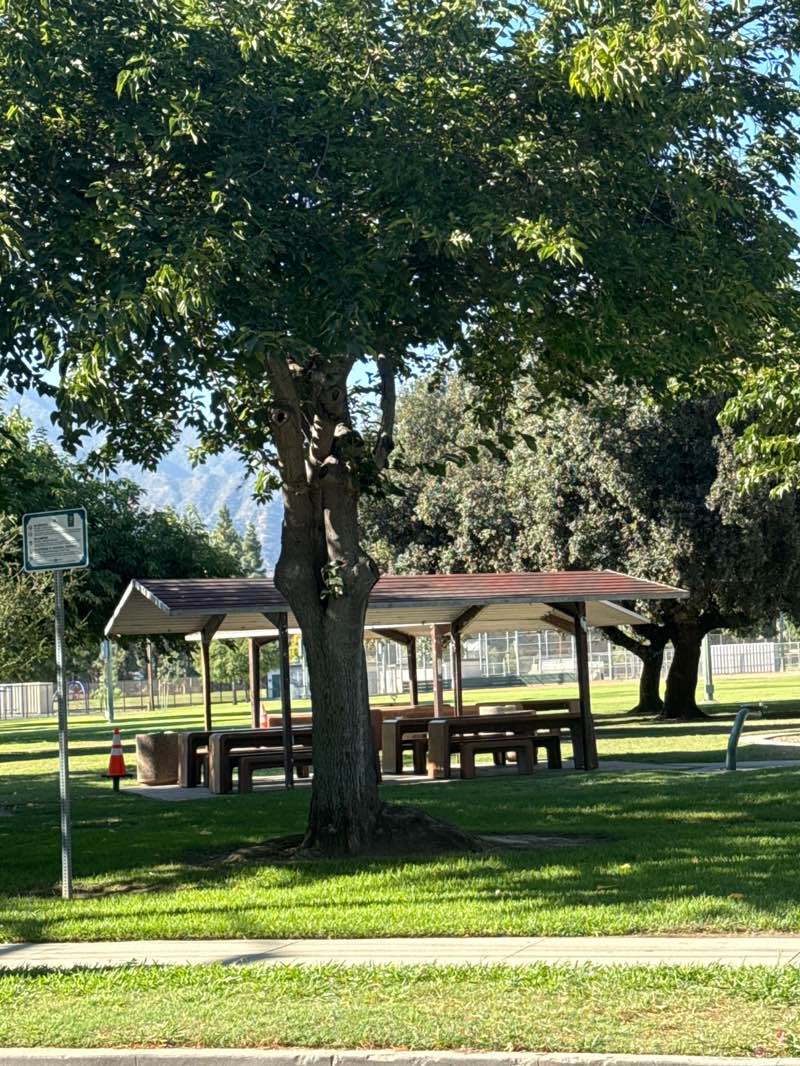 walking near me in Northside Park in autumn
