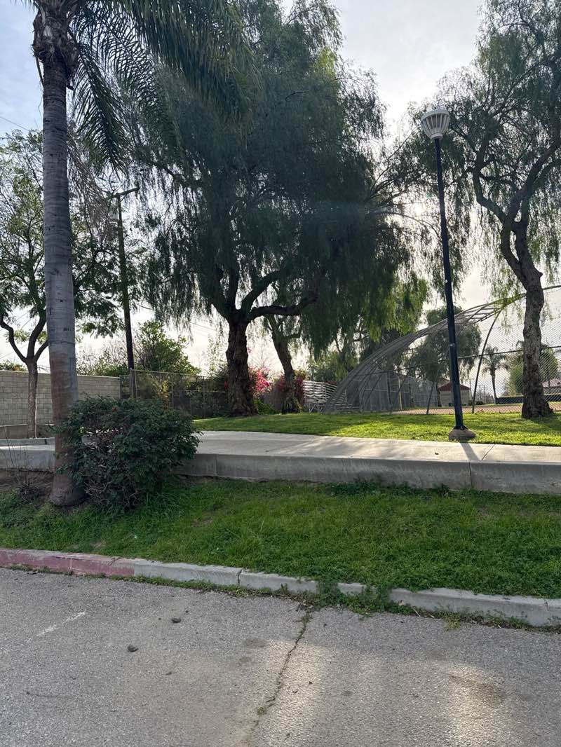 walking near me in Las Palmas Park in winter