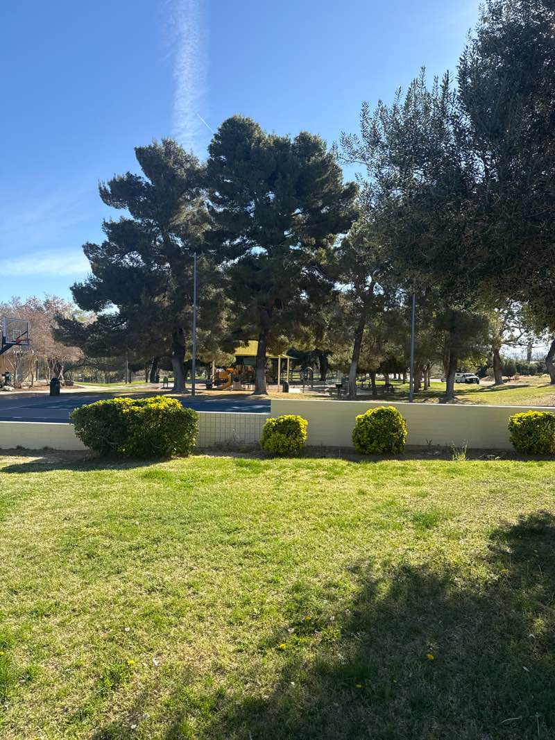 walking near me in Pearblossom Park in spring