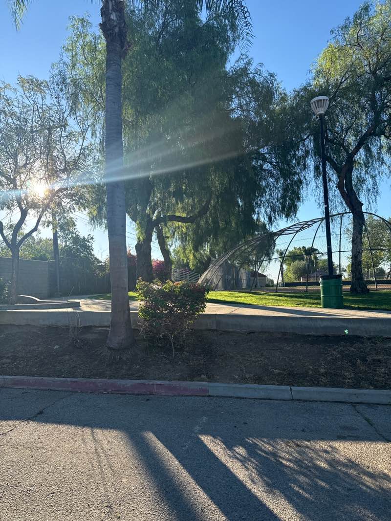 walking near me in Las Palmas Park in spring