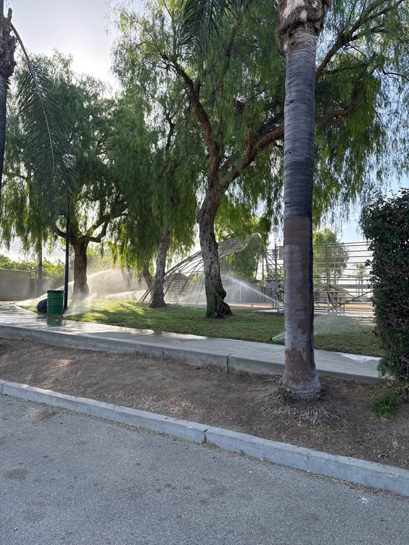 walking near me in Las Palmas Park in spring