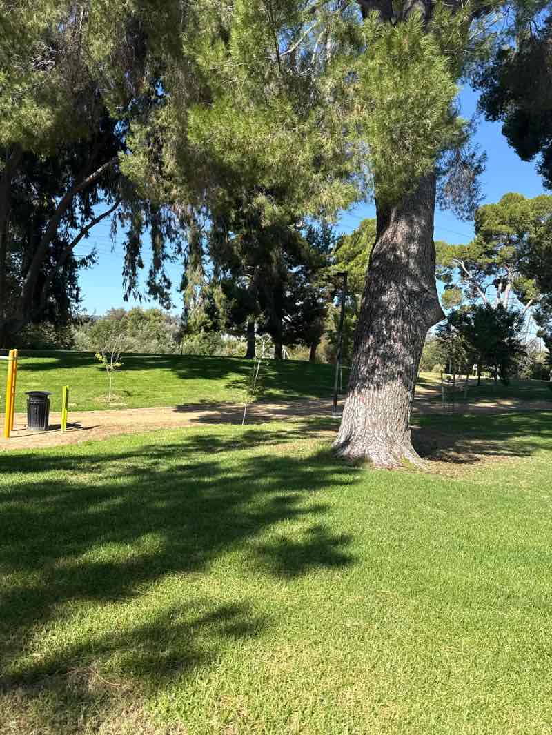 walking near me in Johnny Carson Park in summer