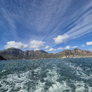 Dowayn Botha profile