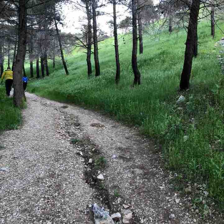 Miran post 2