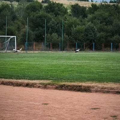 Drink 🍷read & move Ivana post image