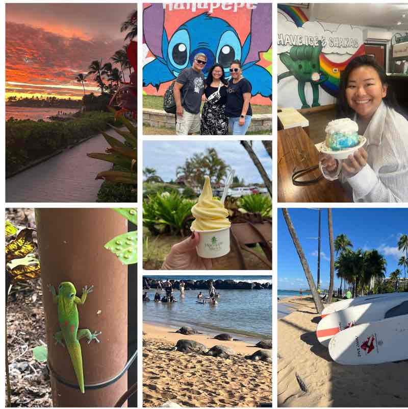 Lori Iwashita post 1