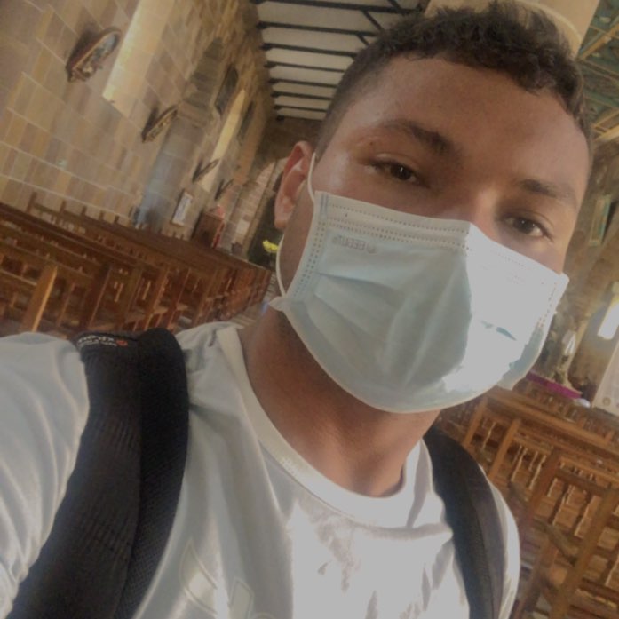 Vilmer david profile