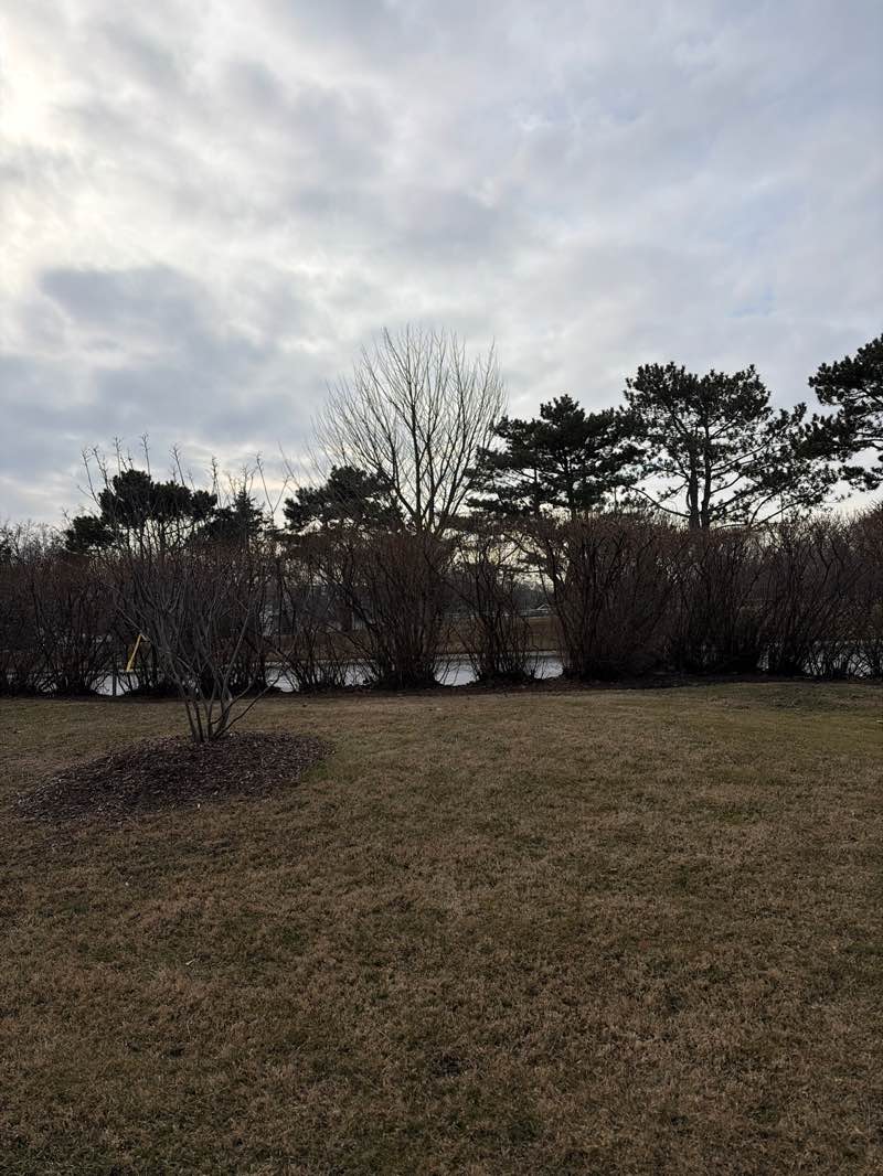 walking near me in Howard Park in winter